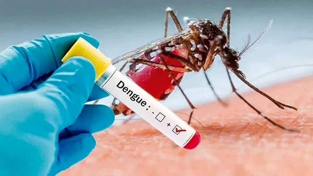 ۴۶ نفر در هرمزگان به تب دنگی مبتلا شدند