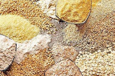 سقف ارزی قیمت جدید نهاده‌های دامی، روغن و دانه‌های روغنی تعیین شد