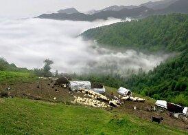 ویلا یا بوم گردی؟ تجربه‌ای متفاوت در ماسال و رشت که نمی‌خواهید از دست بدهید