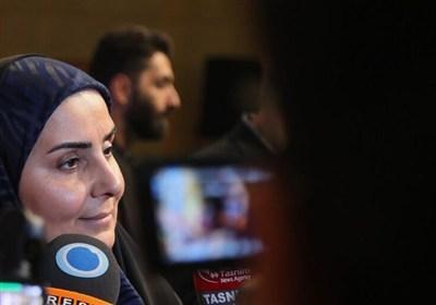 صادق: پیش‌بینی دولت مانع تأثیرگذاری اسنپ‌بک می‌شود