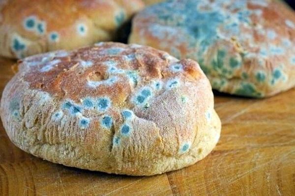 وجود این کپک‌ها روی غذا خطرناک است؟