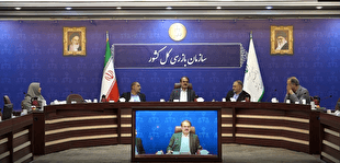 ستاد تنظیم بازار مجوز واردات را به افراد توانمند واگذار کند