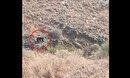 ثبت تصویر خرس سیاه آسیایی در میناب