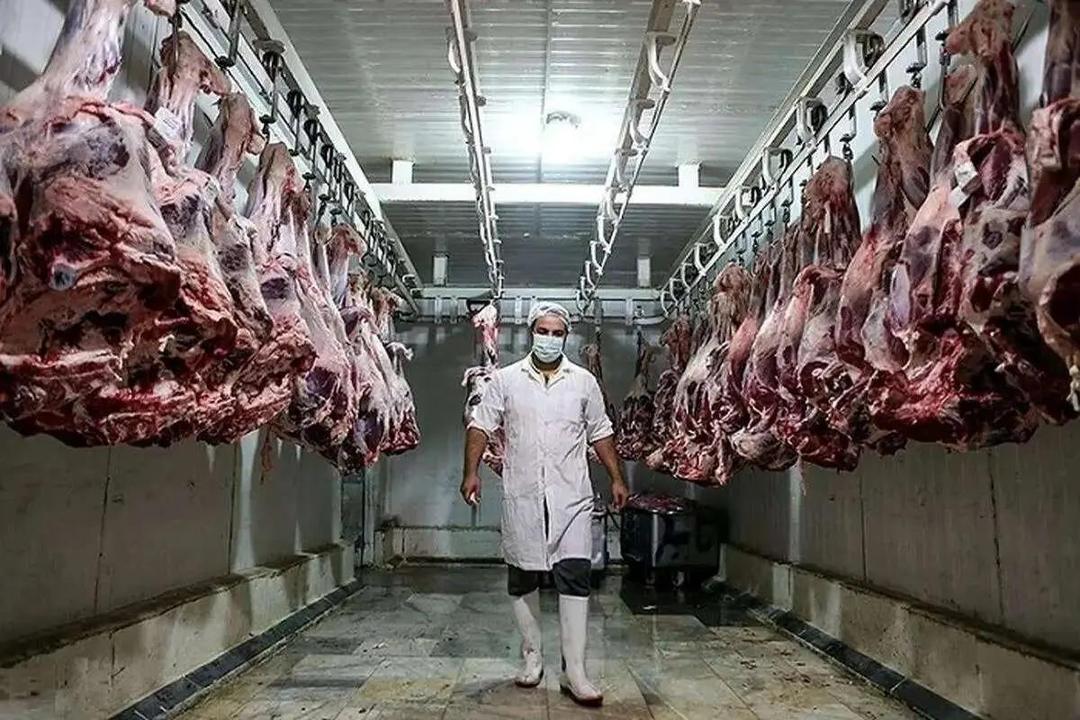 باخت ترامپ به استرالیا