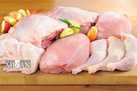افزایش تنوع سبد کالایی خانوار؛ گوشت بوقلمون به «کالابرگ الکترونیکی» اضافه شد