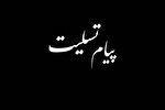 پیام تسلیت حجت‌الاسلام محمدحسن انصاری در پی درگذشت همسر آیت‌الله سیستانی