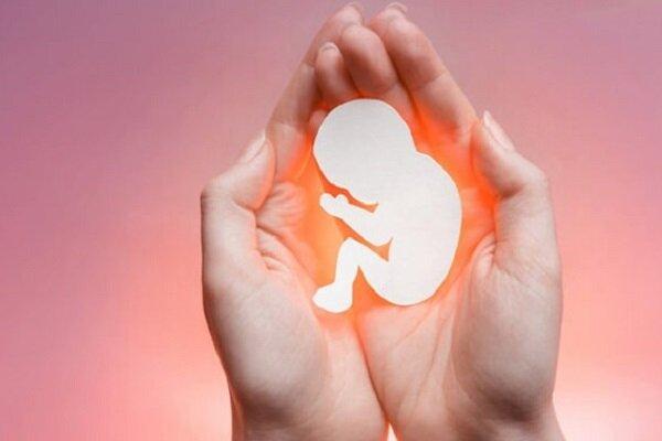 زنان باردار باید چه مقدار غذا مصرف کنند؟