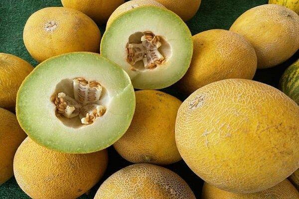 فواید بی‌نظیر خربزه برای پوست