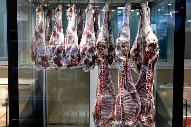 آژیر قرمز در بازار گوشت | چرا گوشت گران شد؟