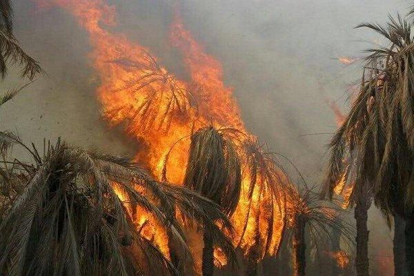 ۶ هکتار از باغات محله گلستان رودان طعمه حریق شد