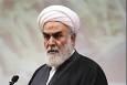 حجت‌الاسلام محمدی گلپایگانی: هرگز تسلیم زور نخواهیم شد