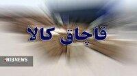 توقیف محموله ۴ تن چوب فاقدمجوز در پلدختر