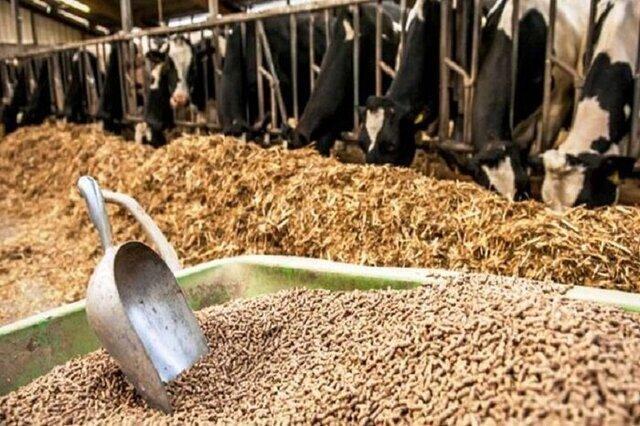 موافقت مجلس با تحقیق و تفحص از عملکرد وزارت جهاد کشاورزی در واردات نهاده‌های دامی