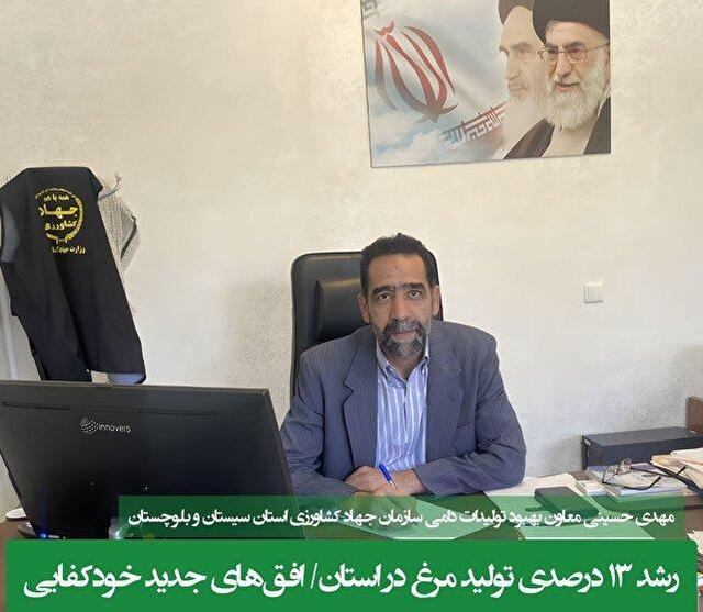 رشد ۱۳ درصدی تولید مرغ در استان مازندران/ افق‌های جدید خودکفایی