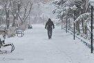 رویای بارش‌ زمستانه/ بارش‌های نرمال دردی از بی‌آبی دوا می‌کند؟