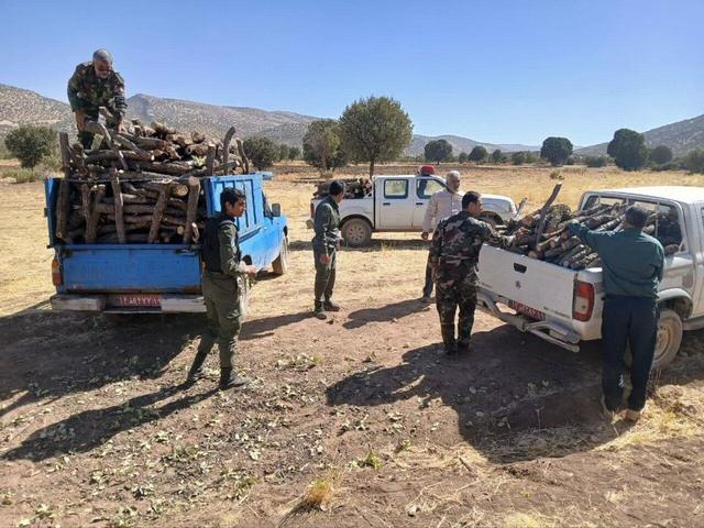کشف و ضبط ۷ تن چوب بلوط در کرمانشاه