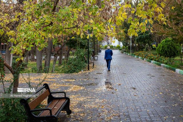 سرمایه‌ها و فرصت‌ها؛ نگاهی نو به نقش سالمندان در هرمزگان