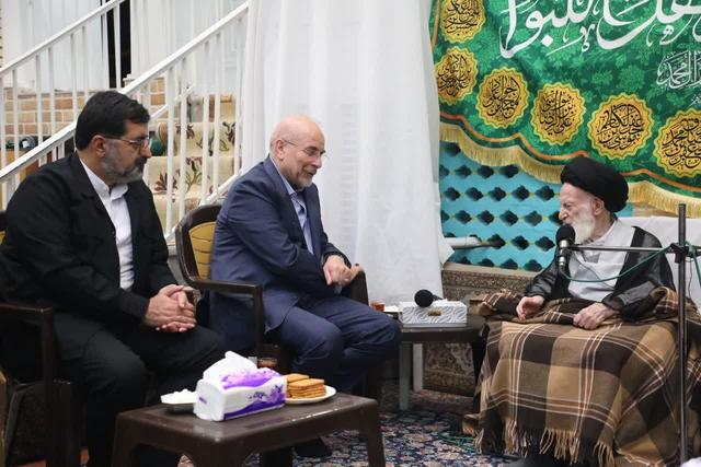 دیدار رئیس مجلس شورای اسلامی با آیت الله شبیری زنجانی