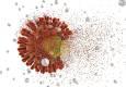 کدام سرطان با ویروس HPV مرتبط است