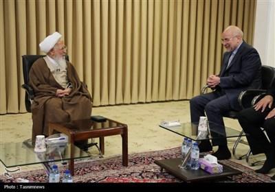 آیت‌الله جوادی‌آملی: بهره‌برداری صحیح از منابع طبیعی برای رفع مشکلات کشور لزوم دارد