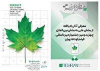 معرفی آثار ملی حاضر در بخش بین‌الملل جشنواره فیلم کوتاه تهران