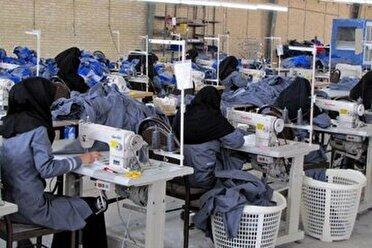 ایجاد شغل برای ۴۵۲ مددجوی بهزیستی همدان
