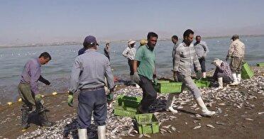 آغازصیدانواع ماهیان استخوانی ازمنابع آبی آذربایجان غربی
