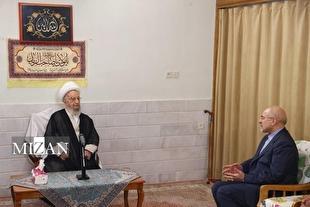 آیت‌الله مکارم شیرازی: پیگیری مسائل اقتصادی مردم و تسهیل گذران زندگی آنها یکی از مسائل مهم است/ قالیباف: با تصویب مجلس، زمین برای ساخت مسکن باید در اختیار مردم قرار بگیرد