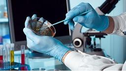 دستیابی محققان به فناوری تشخیص تقلب در روغن حیوانی