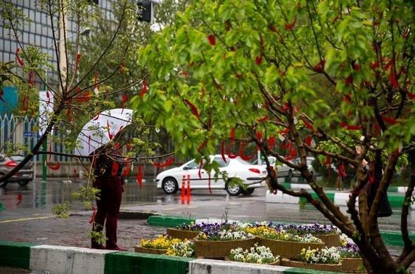 ببینید | ویدویی زیبا از بارش شدید باران در چالوس مازندران