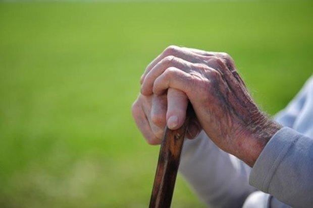 گناباد دومین شهرستان سالمندخیز کشور با ۱۳.۵ درصد سالمند است