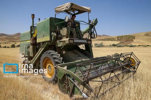 تشکیل ستاد کشت در فارس؛ حرکت به سوی استفاده بهینه از منابع آبی