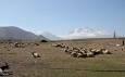 بیش از ۴۵ هزار روستایی و عشایر ایلامی عضو صندوق بیمه اجتماعی
