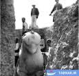 عکس: پنجره‌ای به گذشته:کشف «همای پارسی»۱۳۱٠ خورشیدی
