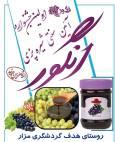 فیلم‌|آیین سنتی شیره پزی انگور روستای مزار بجستان
