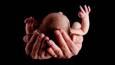 آیا غربالگری ممنوع شده است؟ + فیلم