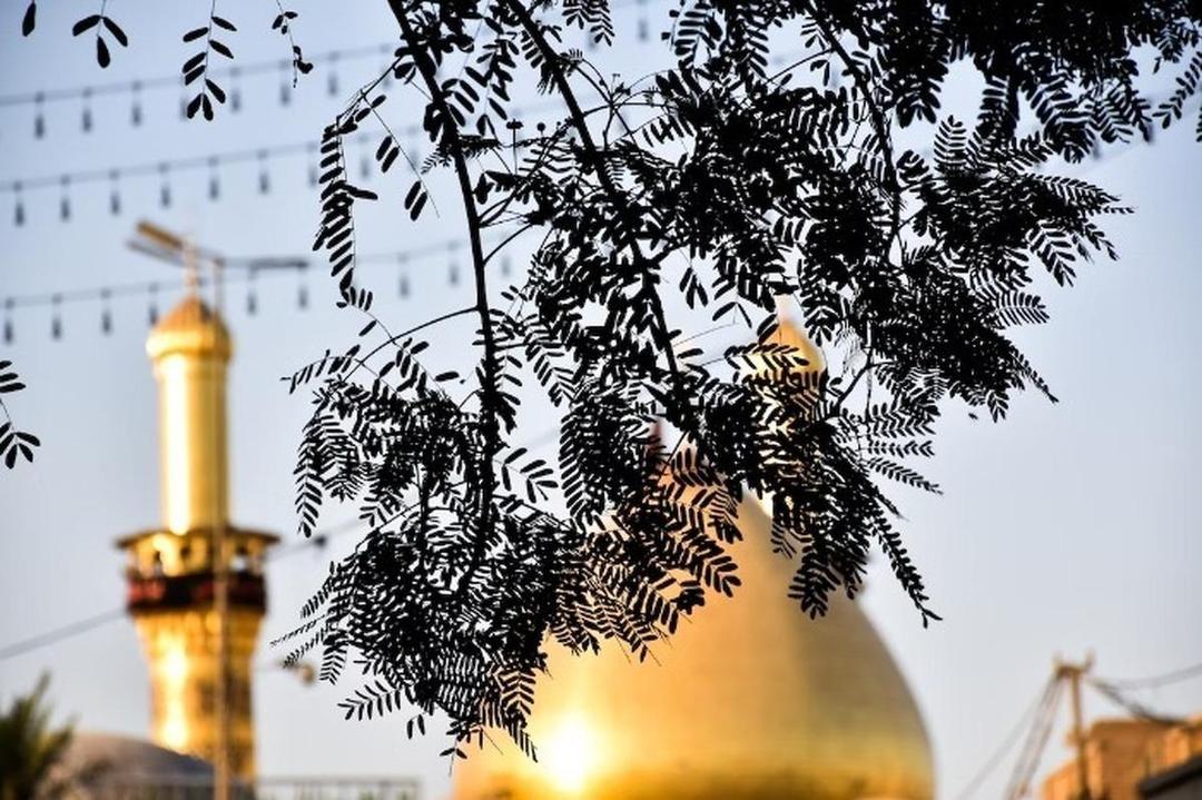 زندگینامه کریمه اهل بیت حضرت فاطمه معصومه (س) از تولد تا وفات