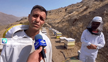 فعالیت ۳ هزارو ۱۷۹ زنبوردار در زنجان
