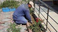 غرس ۴۵ اصله نهال در مرکز سالمندان شهرکرد