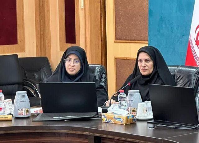 اجرای طرح سالم‌سازی سواحل بوشهر با سرعت بیشتری پیگیری می‌شود