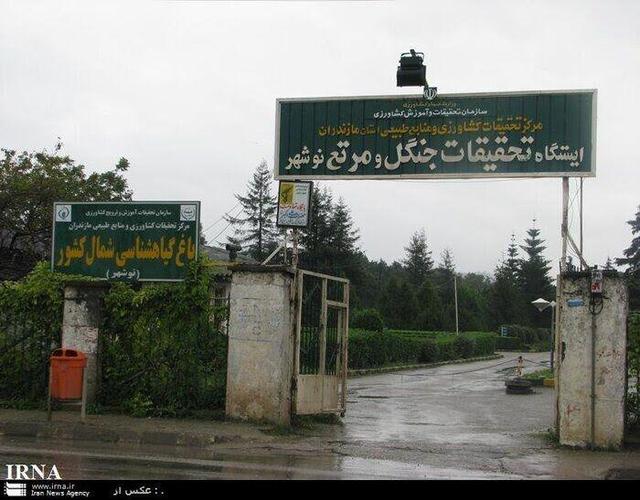 رئیس موسسه تحقیقات جنگل‌های کشور: هشت هزار گونه گیاهی در باغ گیاه‌شناسی نوشهر ثبت است