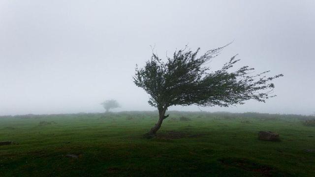 وزش باد در خراسان رضوی شدت می‌گیرد
