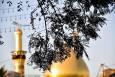 زندگینامه کریمه اهل بیت حضرت فاطمه معصومه (س) از تولد تا وفات