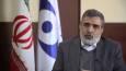 سازمان انرژی اتمی توقیف دارایی‌های ایران را در ترکیه به دستور اردوغان تکذیب کرد