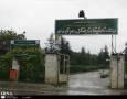 رئیس موسسه تحقیقات جنگل‌های کشور: هشت هزار گونه گیاهی در باغ گیاه‌شناسی نوشهر ثبت است