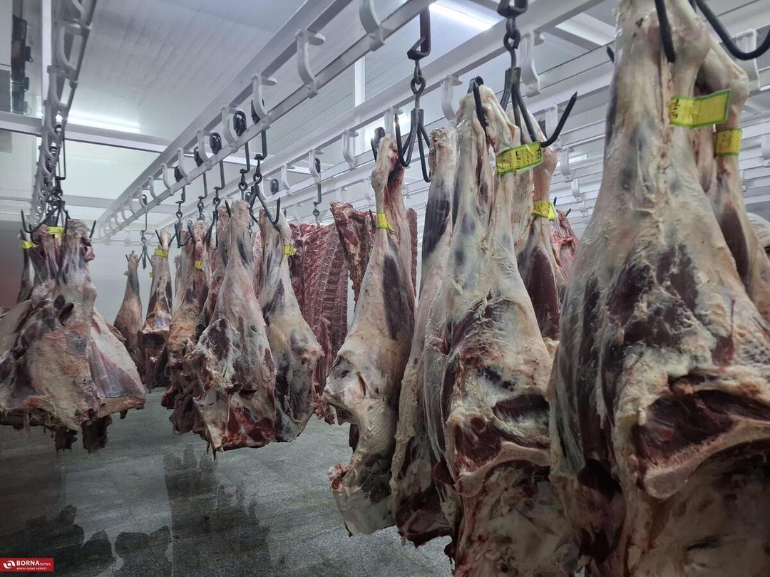 تحول در صنعت بسته‌بندی و عرضه گوشت در تهران با تلاش دامپزشکی و بخش خصوصی