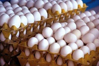 قیمت هر شانه تخم شنبه ۱۲ مهر