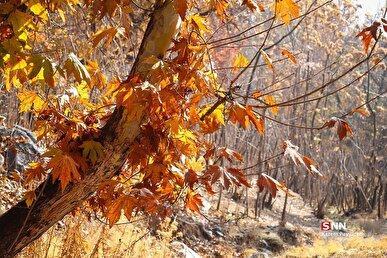 هشدار نسبت به افت قابل توجه دما در ۶ استان/ افزایش ارتفاع موج در دریای عمان