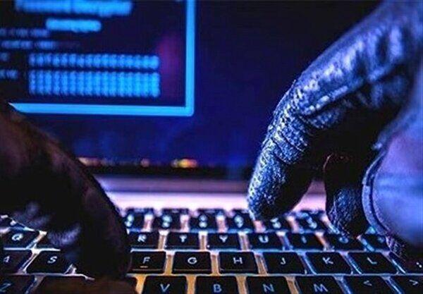 هشدار دادگستری فارس درباره کلاهبرداری جدید اینترنتی با عنوان قصابی خوک