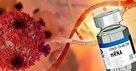 انقلاب RNA در پزشکی از واکسن کووید-۱۹ تا درمان‌ های هدفمند آینده